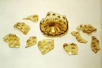 Ein gelblicher Mugelbecher im Vorzustand.