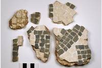 Fragmente 1-5 nach der Reinigung und Festigung.