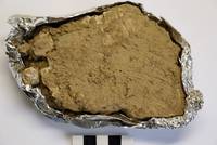 Ansicht von Fragment 13 vor der Reinigung.