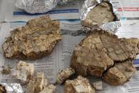 Die Mosaikfragmente nach der Bergung.