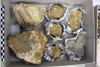 Die Fragmente in der Fundbearbeitung der Archäologischen Zone.