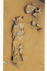 Der verstorbene 30-40jährigen Mann (Grab 3, Pa-5) wurde auf ein Scherbenlager gebettet und mit Scherben bedeckt. Aus: AiD 4/1998, 14. Foto: H. Prümers.