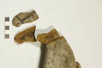 Auch der Pferdekopf war stark in Mitleidenschaft gezogen.